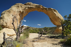 Cox Canyon Arch, New Mexico 9-20-19