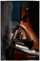 Sunday jazz @ Archiduc: Reggie Washington quartet