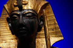 Tutankhamun, The Golden Pharaoh 