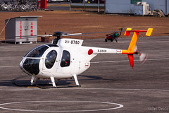 Kanoya Air Base, Japan (2013)