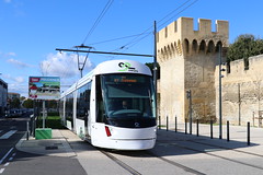 Avignon (F)
