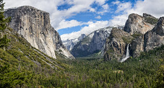 Yosemite National Park, May 2019