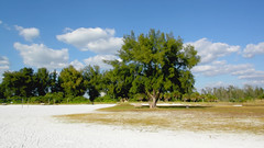 SARASOTA FL America 2008-2011