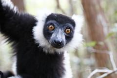 Madagascar 2019