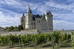 FRANCE: Château de Saumur 2019-08
