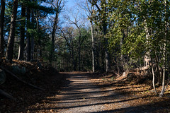 Lynn Woods Autumn Trail Hike
