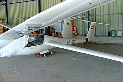 Rolladen-Schneider Gliders