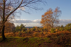 Old Lodge Reserve