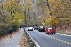 Fall in Rock Creek Park