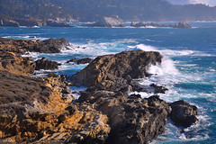 Monterey / Carmel