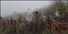 Cimitir V. S.