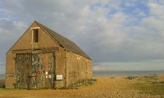Rye Harbour Nature Reserve & Winchelsea Beach