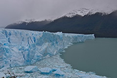 La Patagonie du sud, El Calafete et le glacier Perito Moreno
