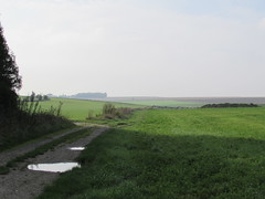 Pozières: The D73 road to Thiepval (Somme)