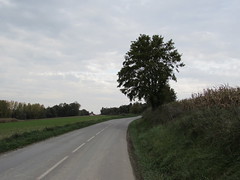 Authuille: The D151 road (Somme)