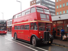 Route 140 running day 2019