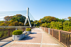 2019/11/09 旧秩父橋、寶登山神社、美の山公園