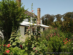 KEMP HOUSE GARDEN IN BLOOM, Kerikeri, New Zealand