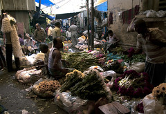 Mallick ghat flower market, Kolkata