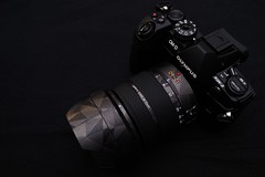 [M43] Panasonic Leica DG VARIO-ELMARIT 12-60mm f2.8-4 ASPH