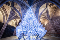 Chester Cathedral Christmas Tree Festival (Dec 2019)