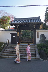 Japan 2019 - 12 November - Kyoto - Tofuku-ji