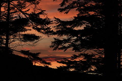 Sunset at Ticknock Woods
