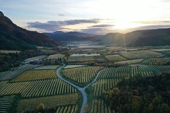 Irrigated apple orchards, Grand vallon, France