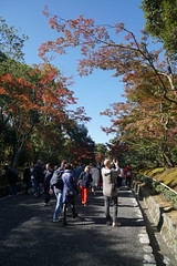 Japan 2019 - 13 November - Kyoto - Golden Pavillion