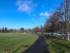 Jogging on McCollum Park Trail
