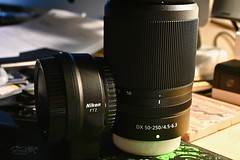 Nikon Z DX 50-250mm F/4.5-6.3 VR
