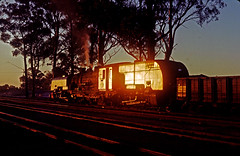 South Australian Railways
