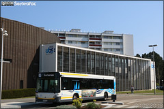 Heuliez Bus GX 337 – RD Lorient Agglomération (RATP Dev)  / CTRL (Compagnie de Transport de la Région Lorientaise) n°440