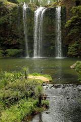Whangarei Falls Nouvelle Zélande