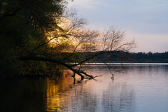 Autumn at the Krickenbeck Lakes