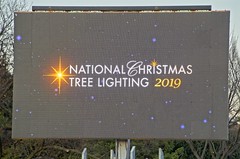 2019 Christmas Tree Lighting Ceremony
