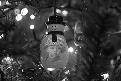 Christmas Tree Composite Images