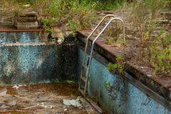 The Decay Pool
