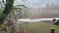 Stawamus River, Squamish, BC