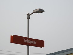 Telopea Railway Station