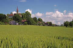 Bern Mittelland und Emmental