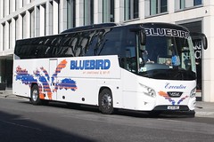 UK - Bus - Bluebird