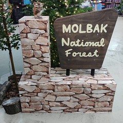 Molbak's