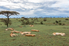 Kenya 2019 December