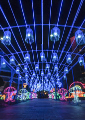 Atlanta Chinese Lantern Festival 2019
