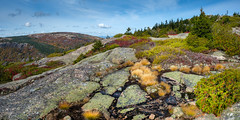Maine - Acadia National Park