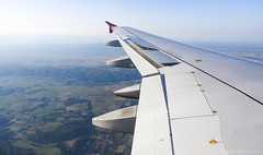 Wing View