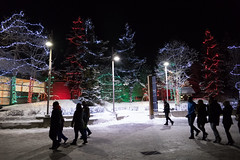 Calgary Zoo Lights 2019
