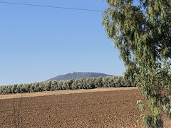 [47] Mt. Tabor / Mt. Carmelo / Emmaus / Jerusaelm  2019
