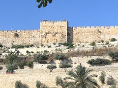 [37] JERUSALEM 2019